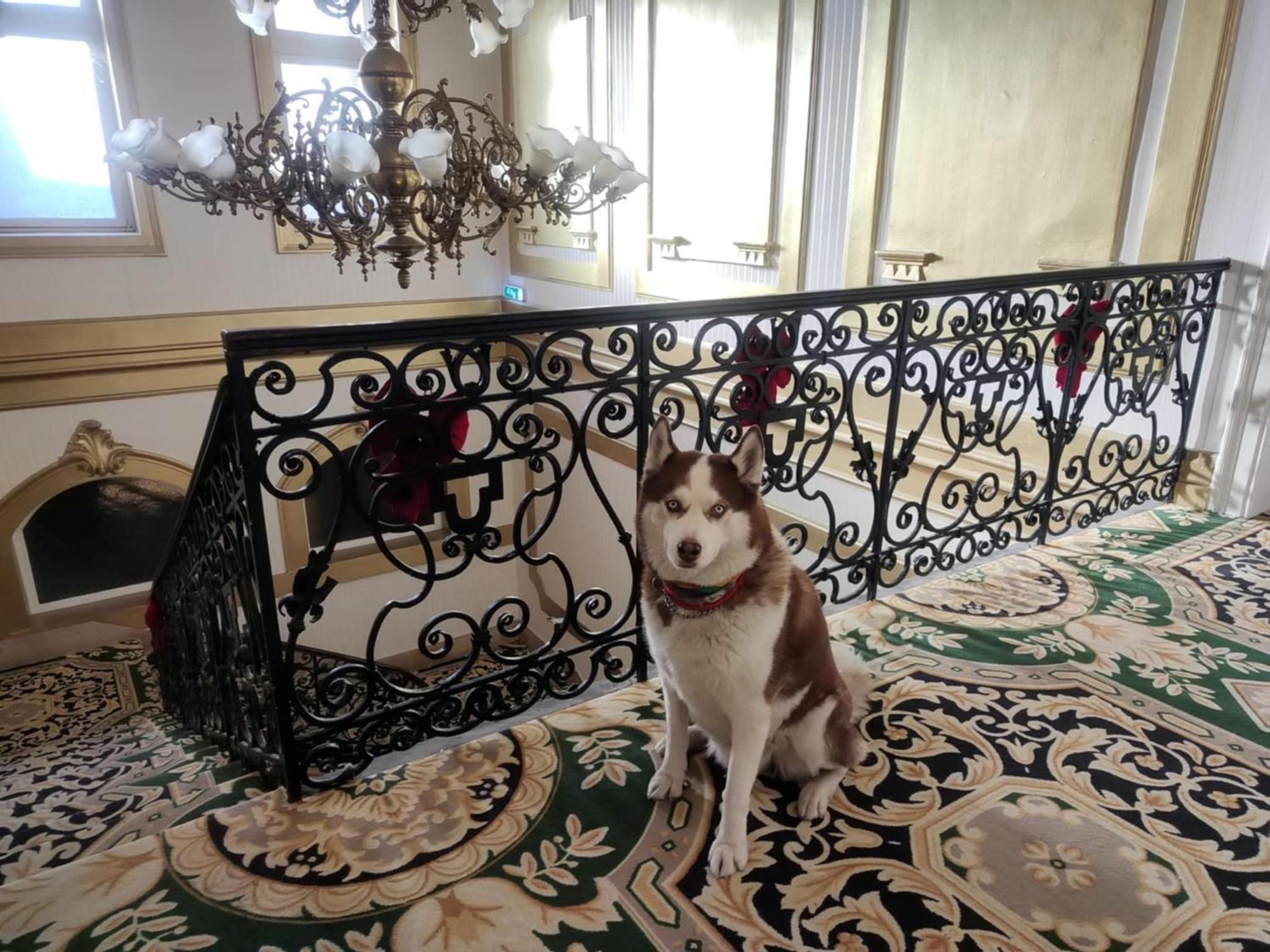 Nyíregyháza Korona Hotel מראה חיצוני תמונה